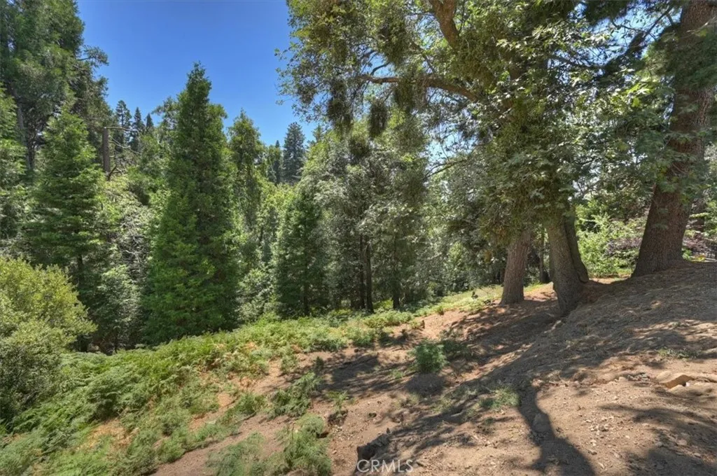 main property photo 49