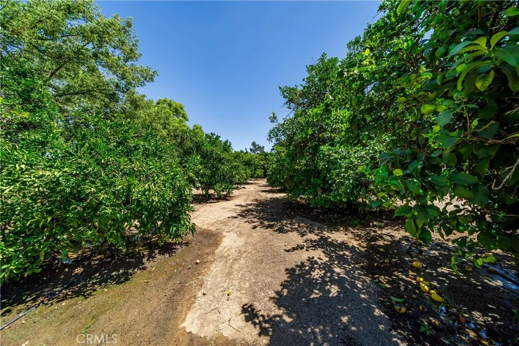 main property photo 60