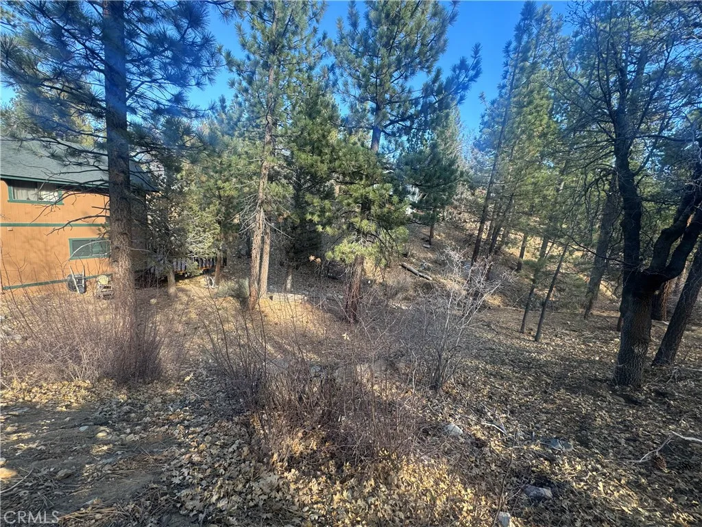 main property photo 5