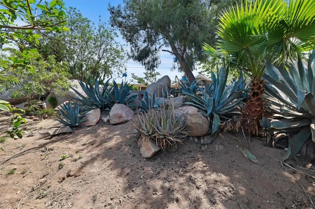main property photo 57