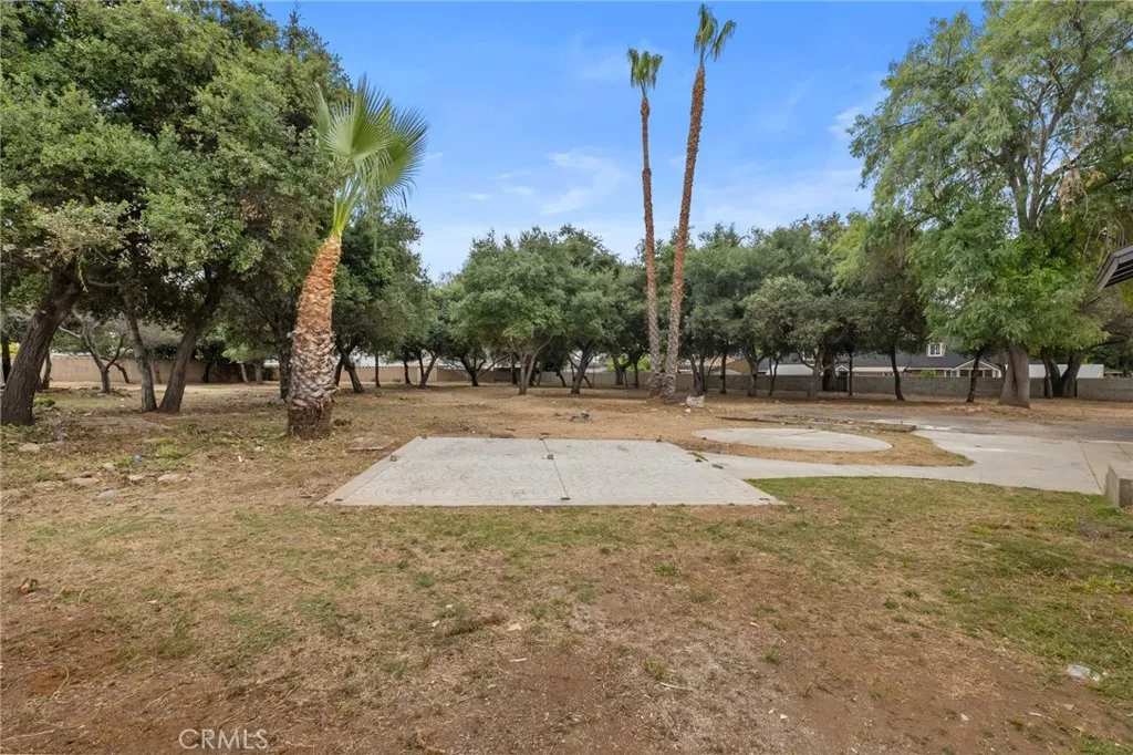 main property photo 43