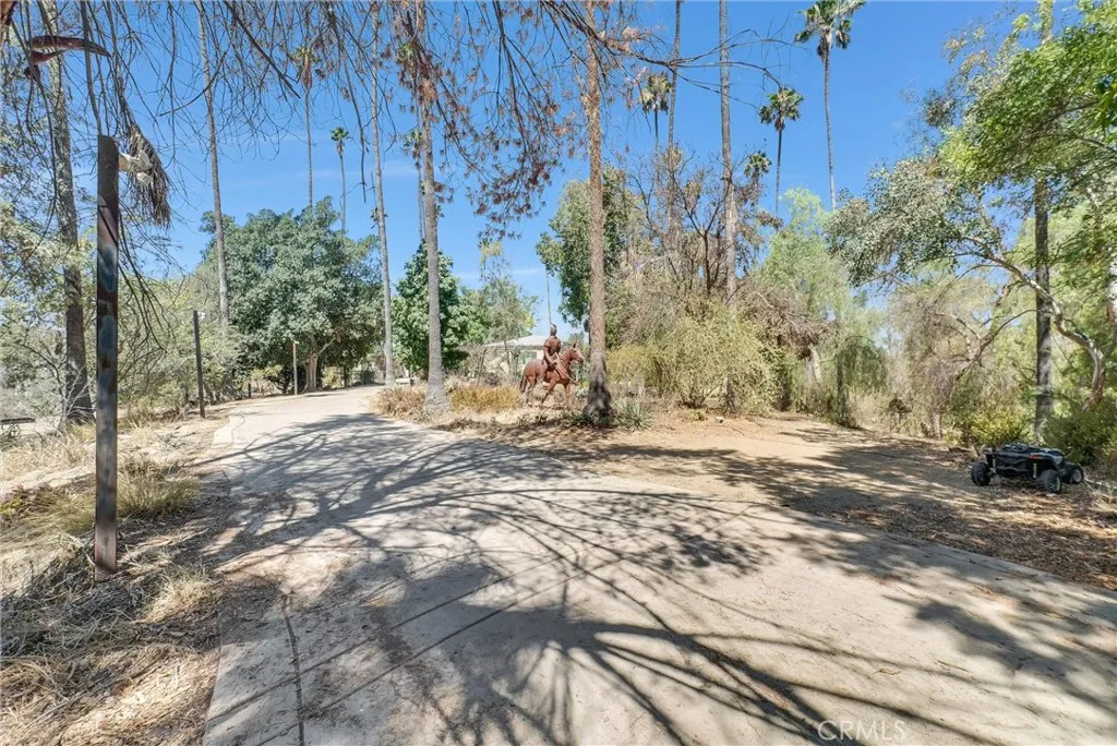 main property photo 52