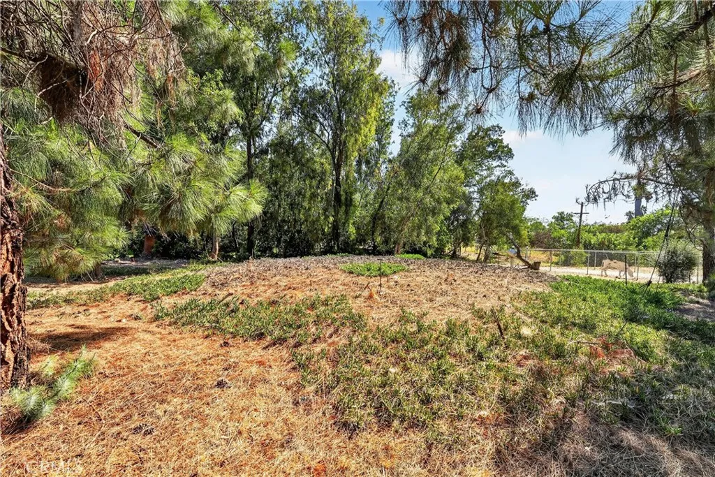 main property photo 58