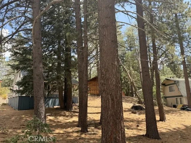 main property photo 10