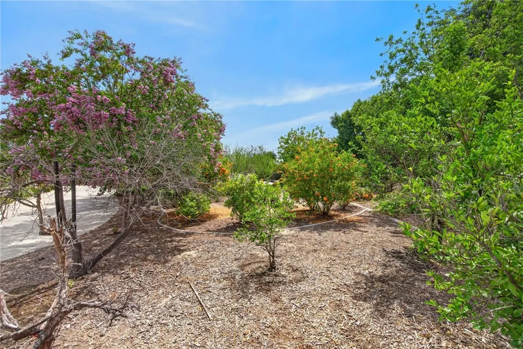 main property photo 59