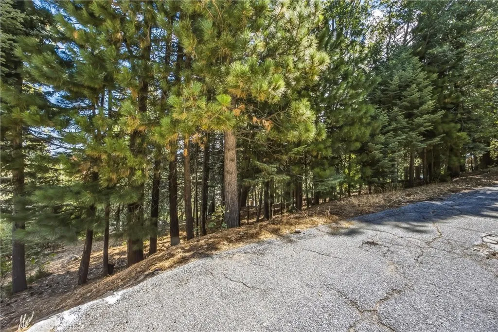 main property photo 57
