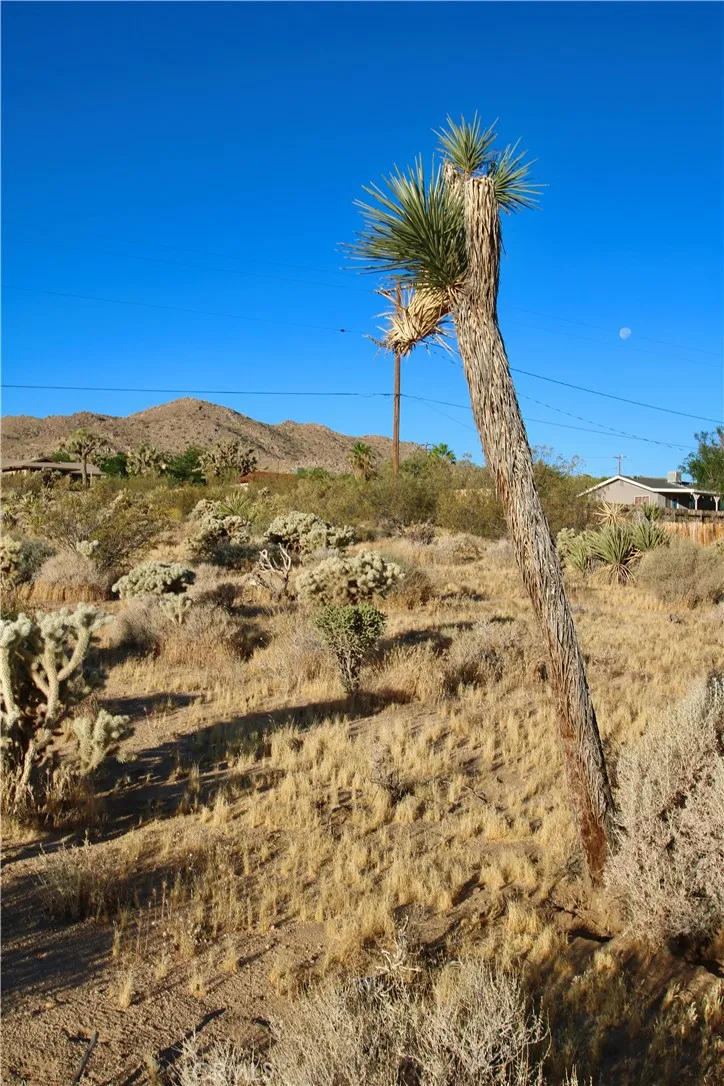 main property photo 19