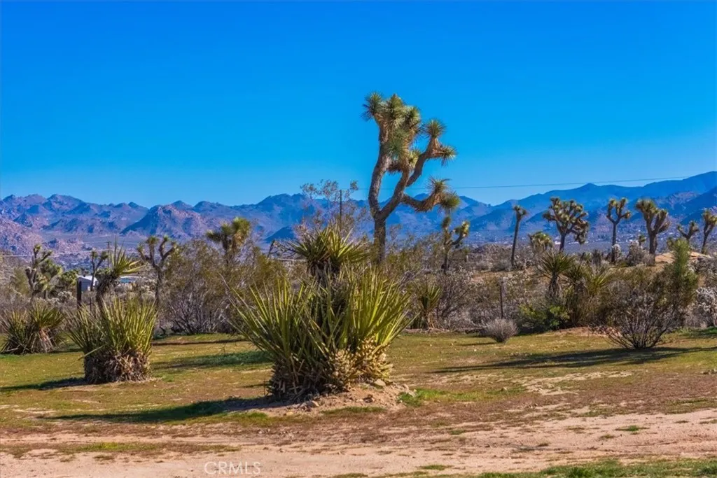 main property photo 61