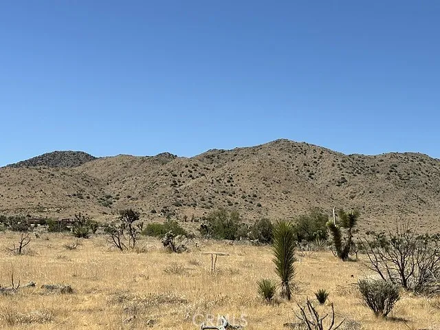 main property photo 7