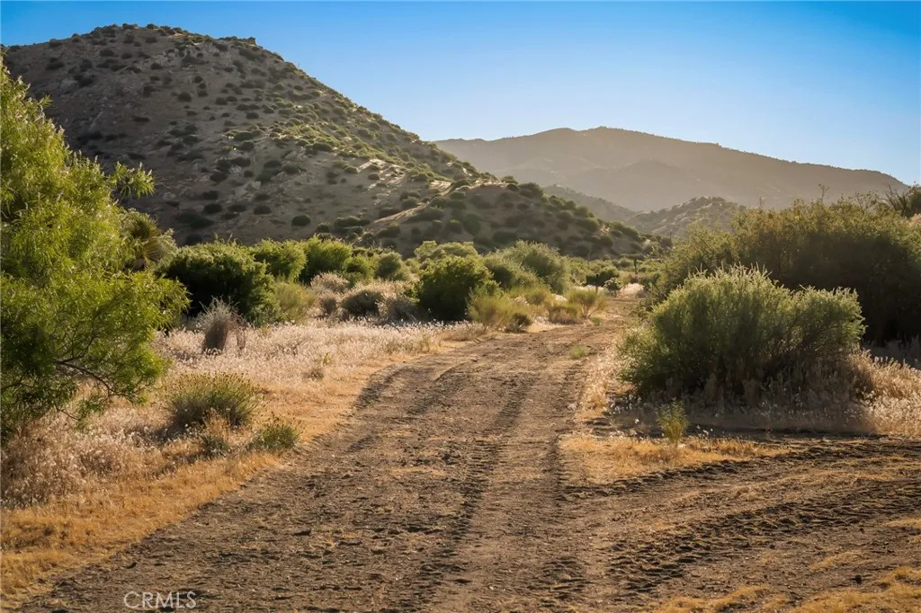 main property photo 43