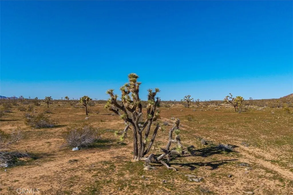 main property photo 51