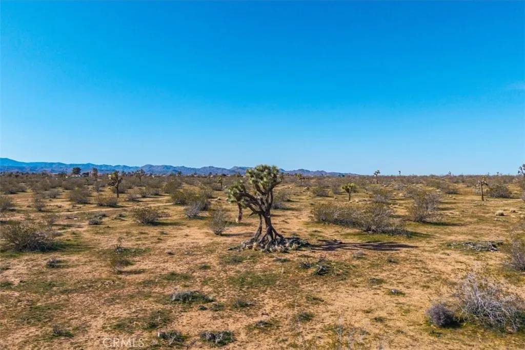 main property photo 52