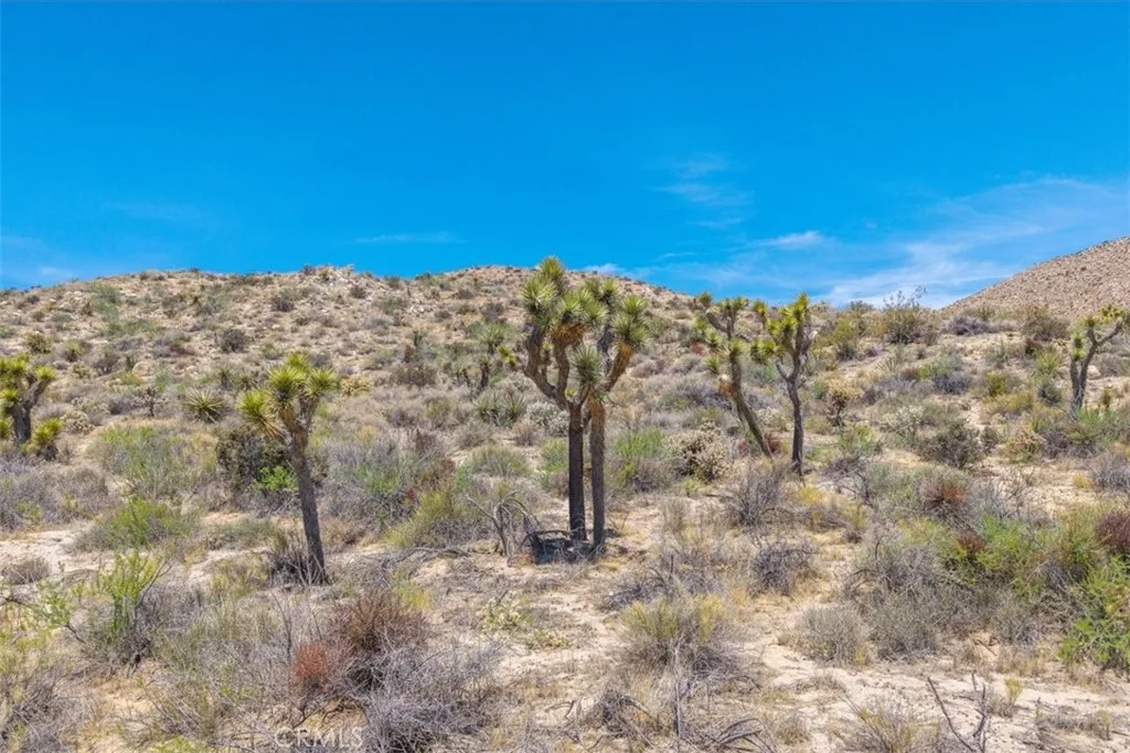 main property photo 27