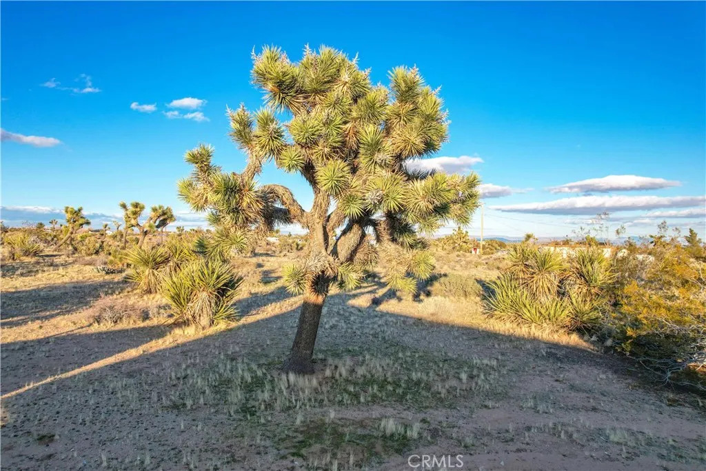 main property photo 31