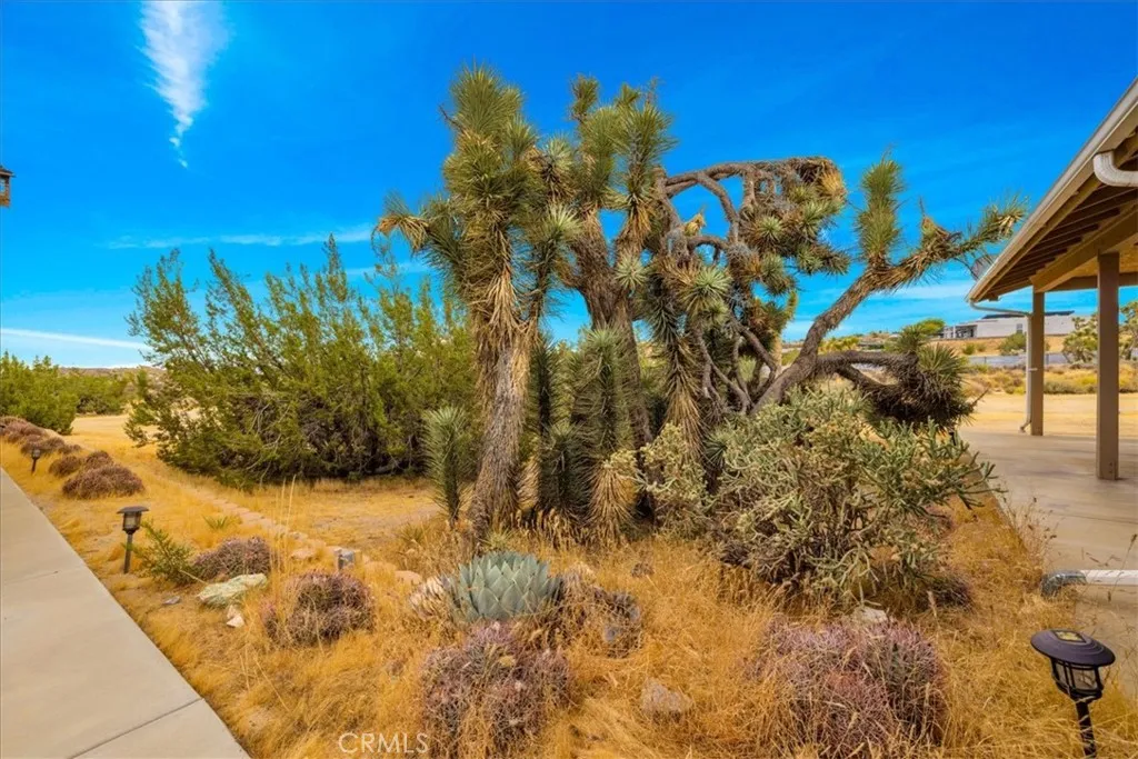 main property photo 34