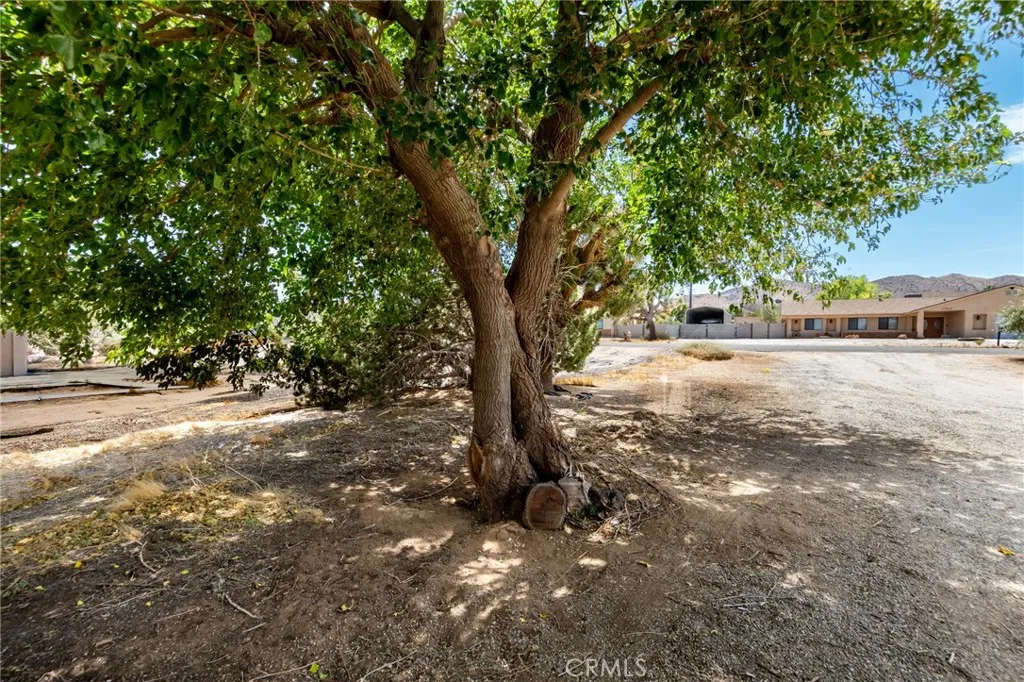 main property photo 51