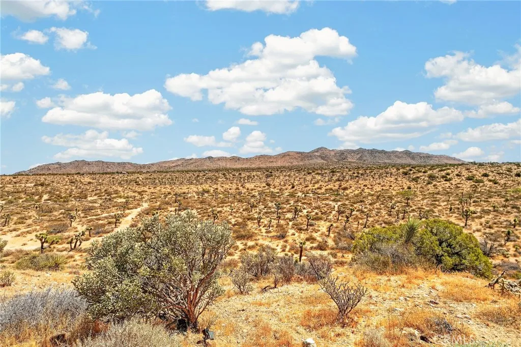 main property photo 59