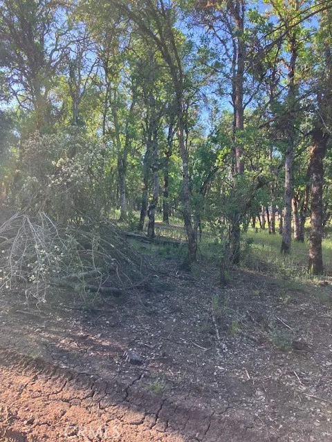 main property photo 8