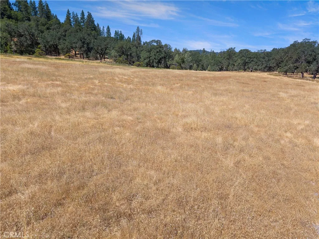 main property photo 53