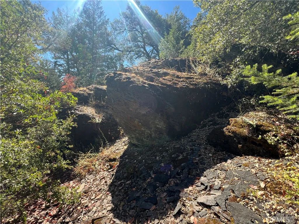 main property photo 50