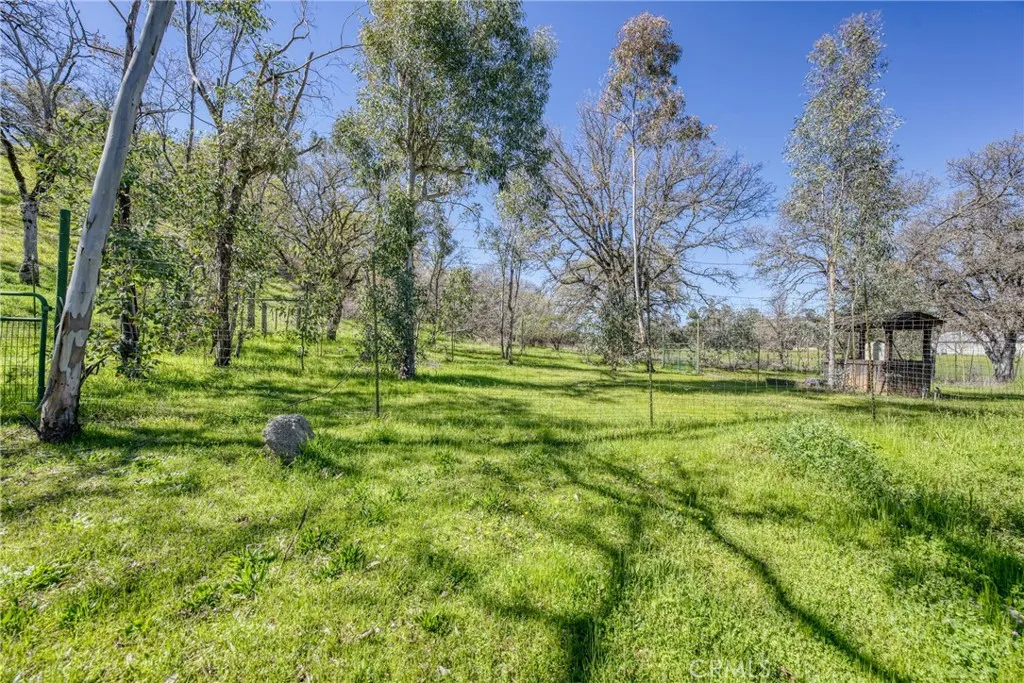 main property photo 42