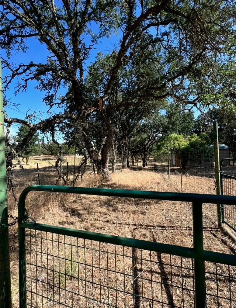 main property photo 47