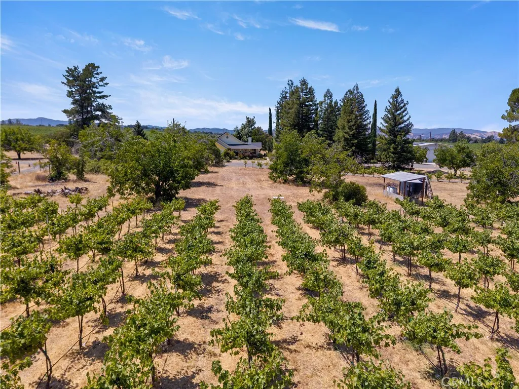 main property photo 62