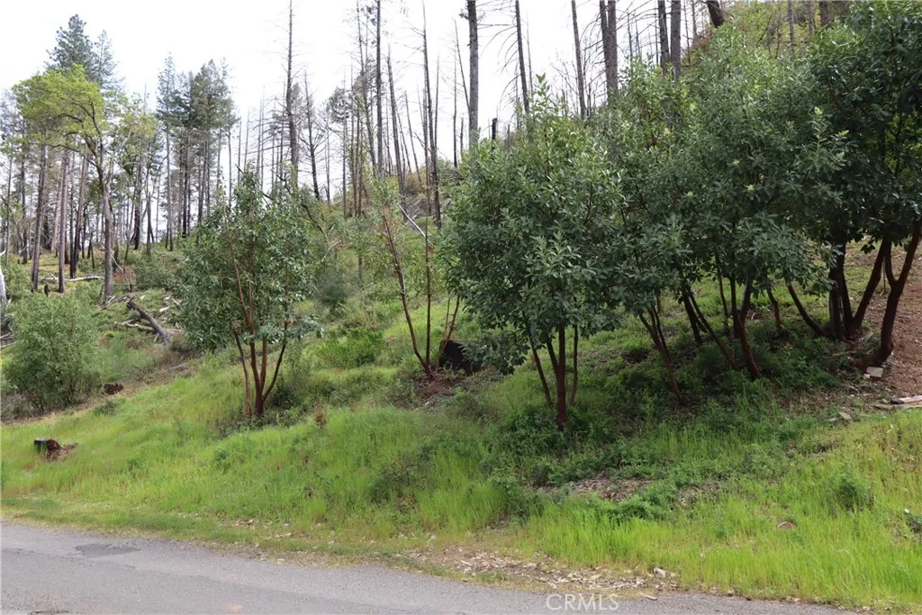 main property photo 13