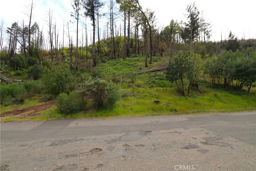 main property photo 6