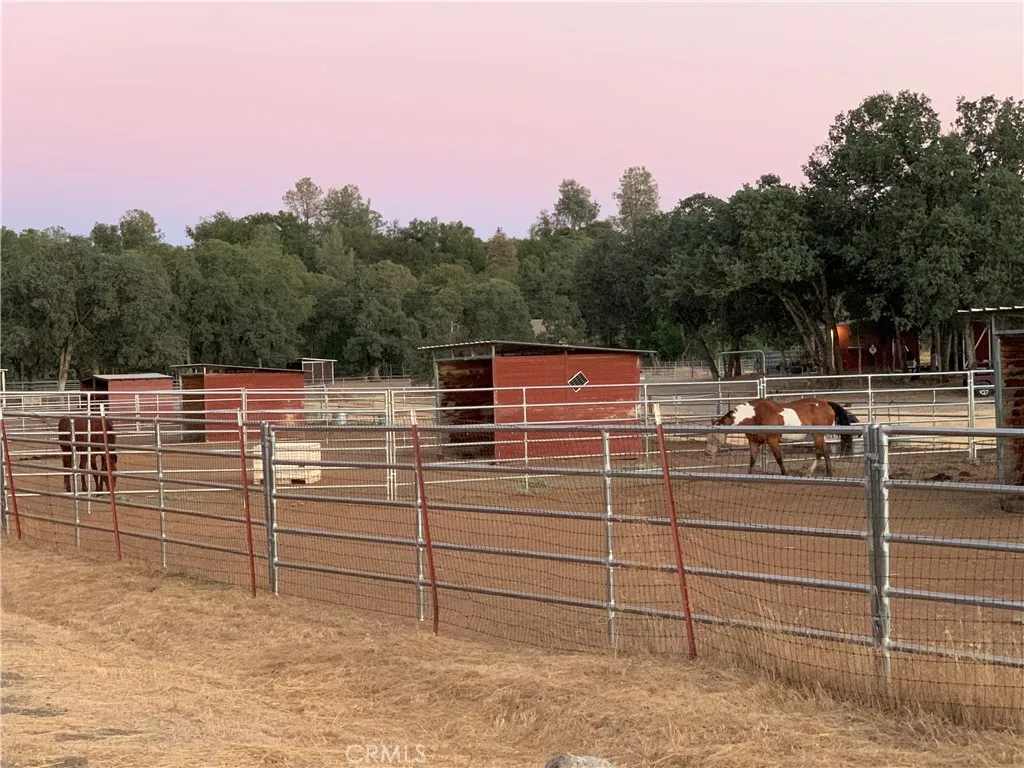 main property photo 51