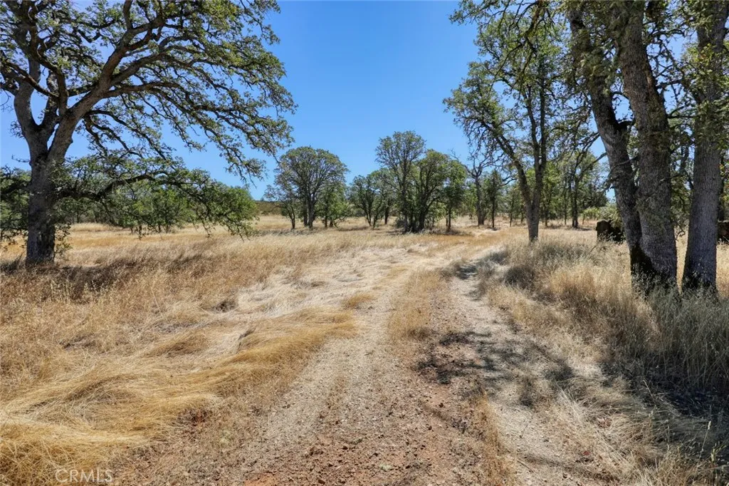 main property photo 11