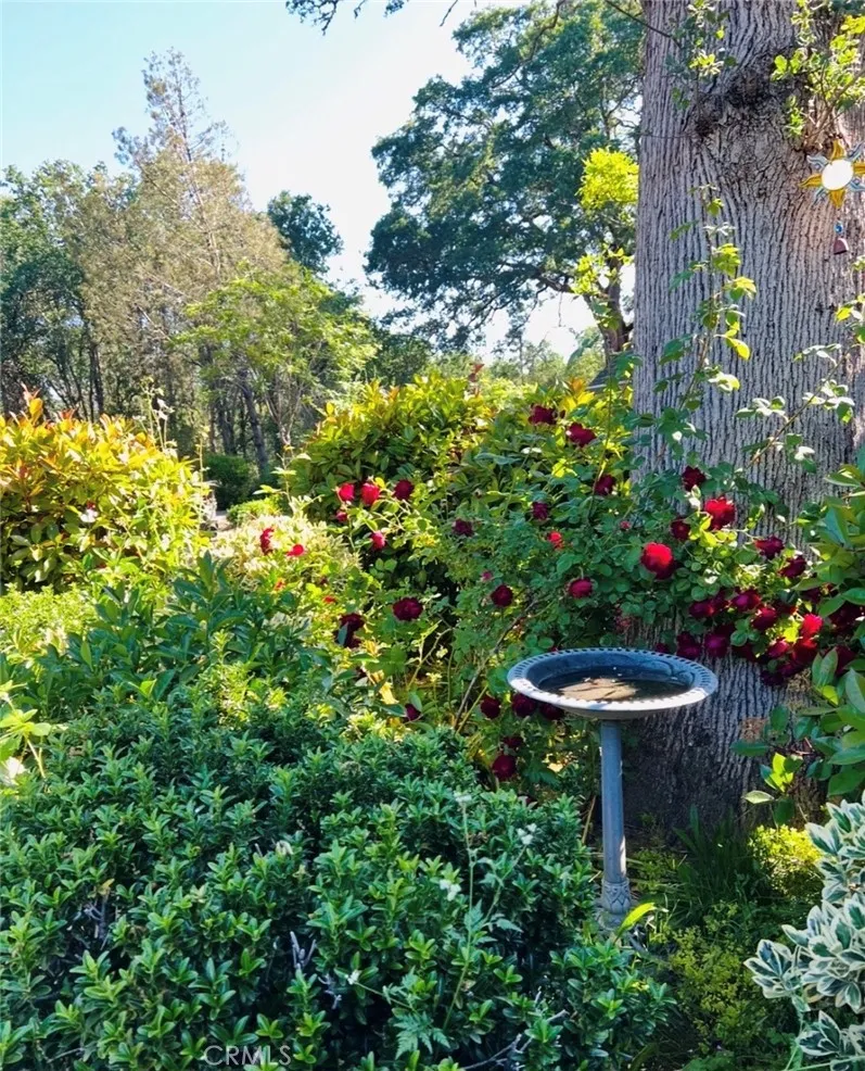 main property photo 56
