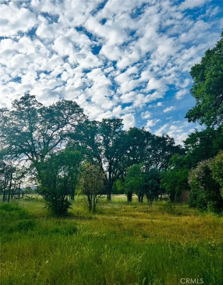 main property photo 58