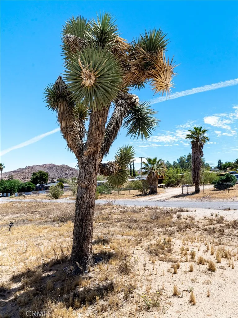 main property photo 33