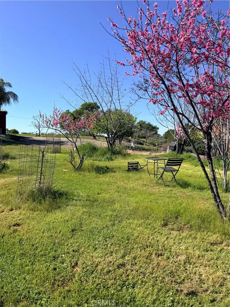 main property photo 55
