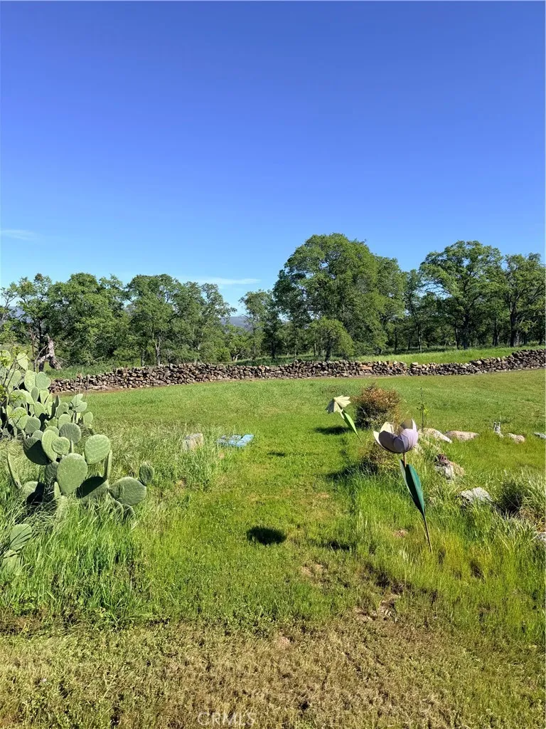 main property photo 56