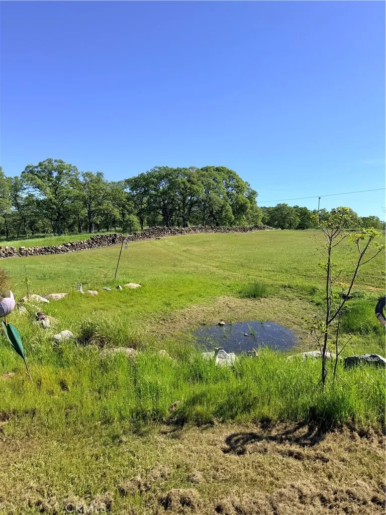 main property photo 57