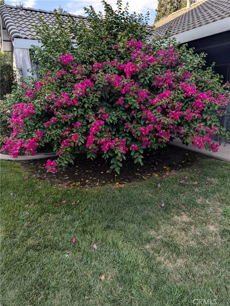 main property photo 57