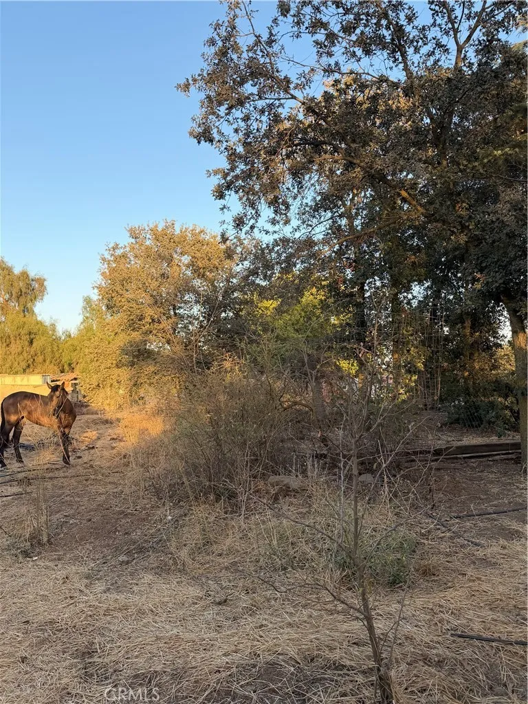 main property photo 11
