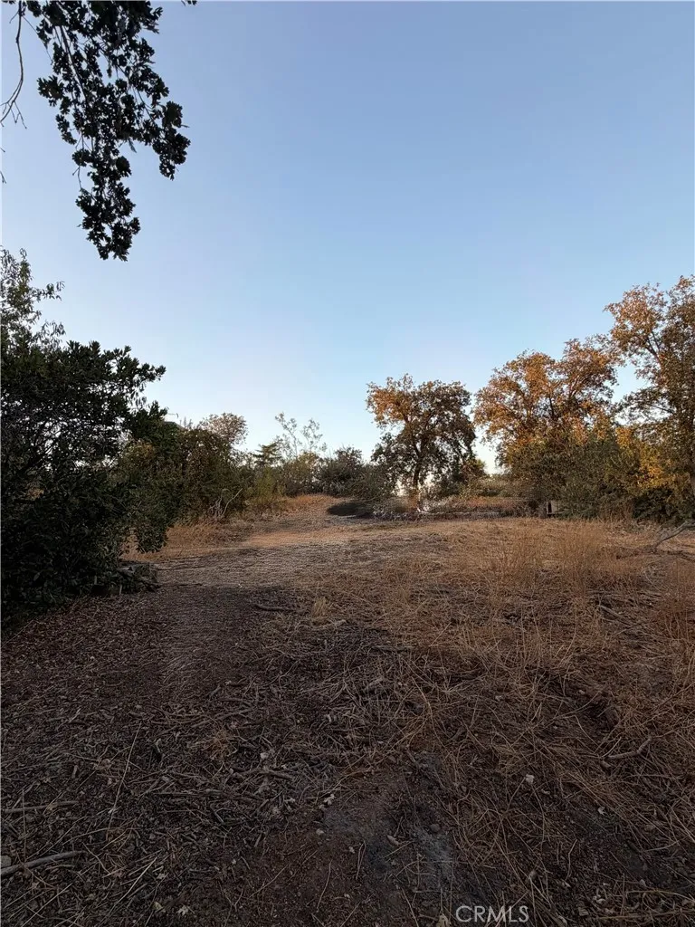 main property photo 13
