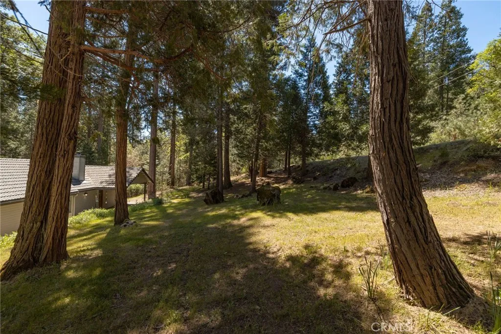 main property photo 60