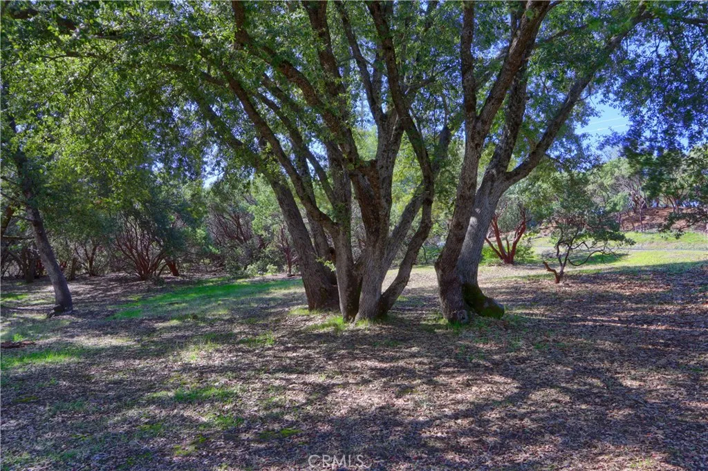 main property photo 47