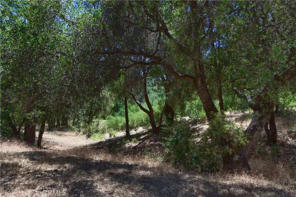 main property photo 47