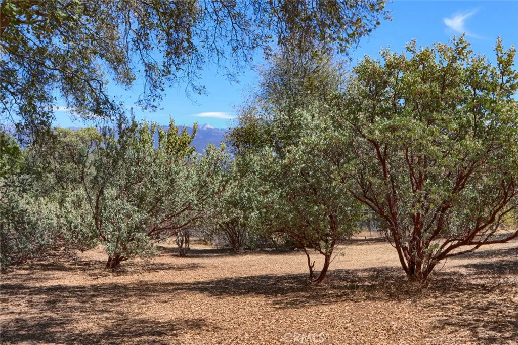 main property photo 60