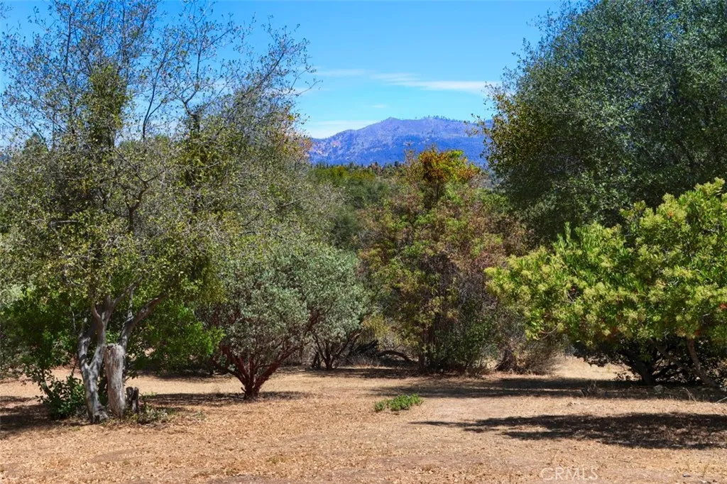 main property photo 61