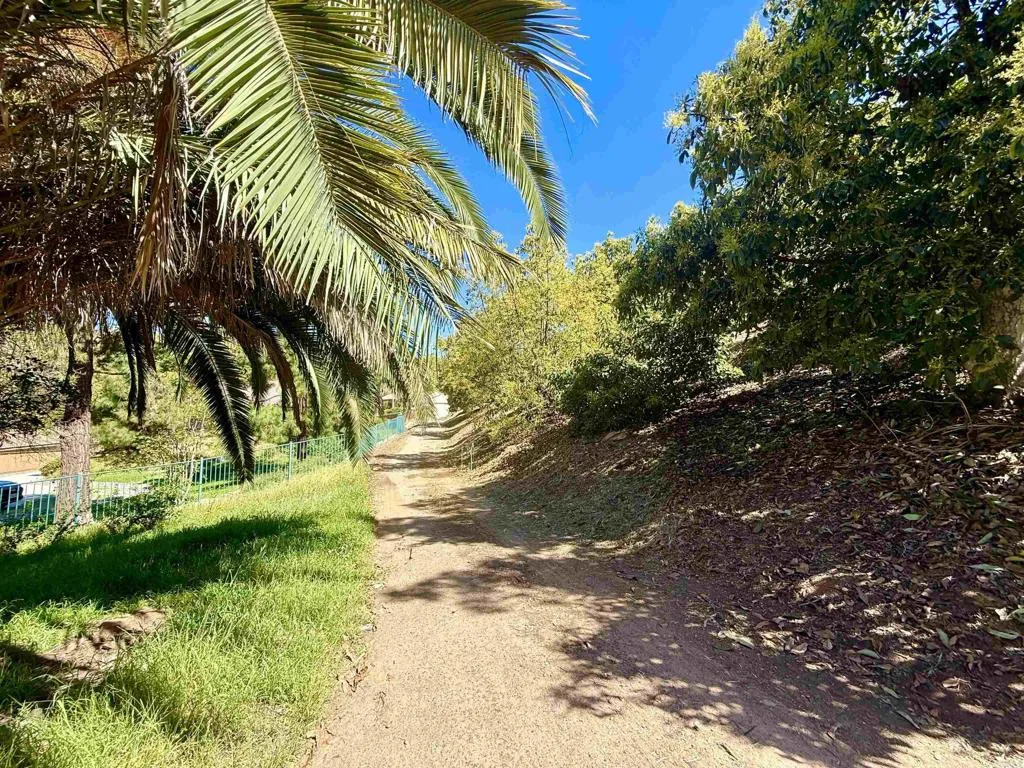 main property photo 21