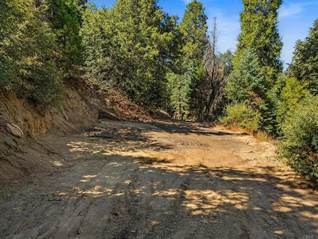 main property photo 11