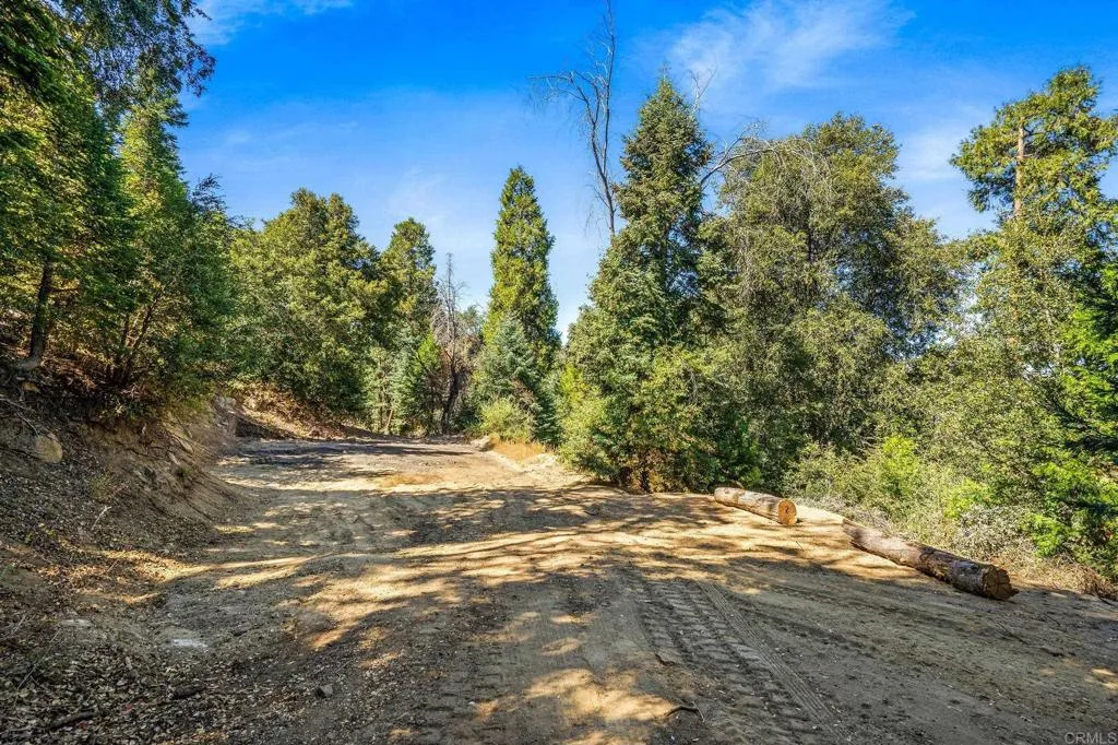 main property photo 17