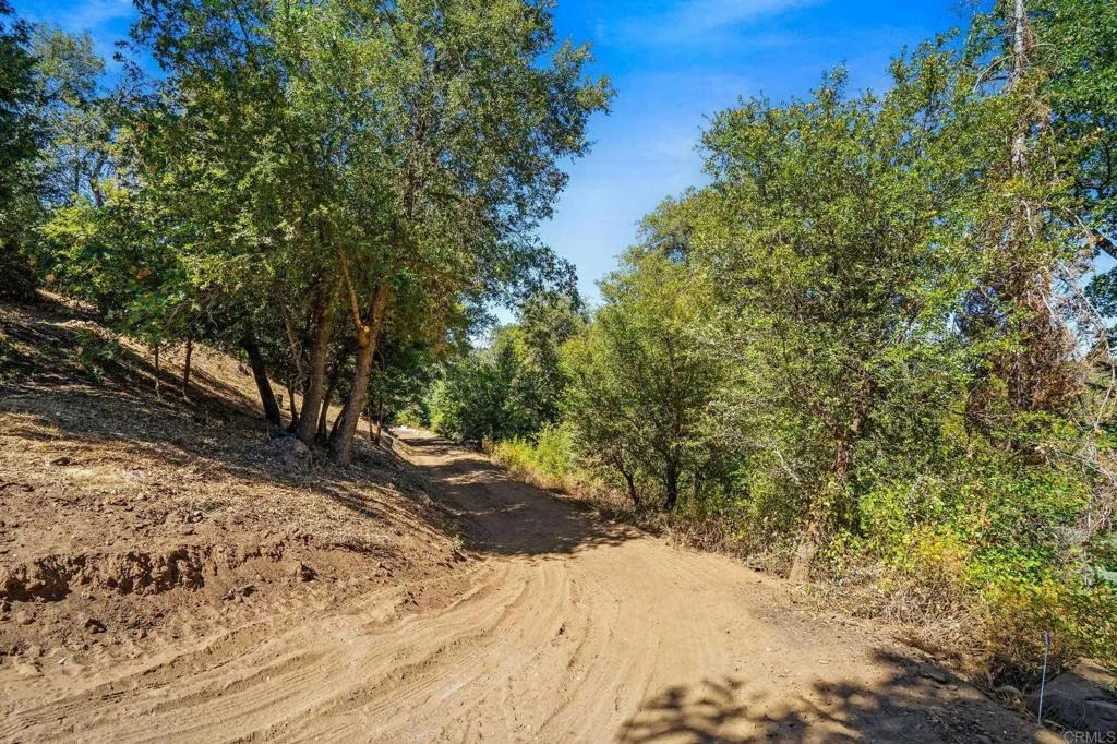 main property photo 18