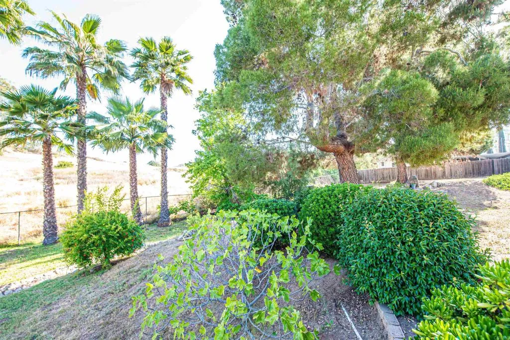 main property photo 56